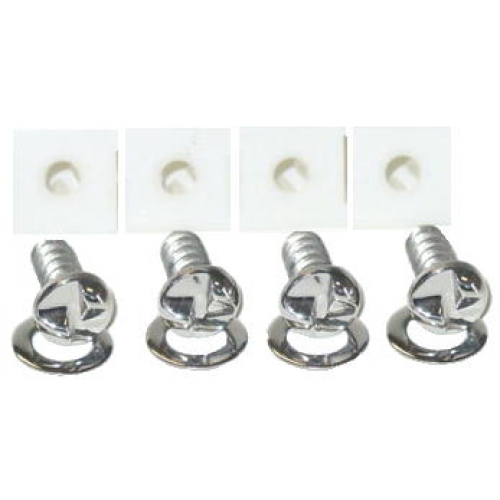 Polished Stainless Tamperproof License Plate Screws